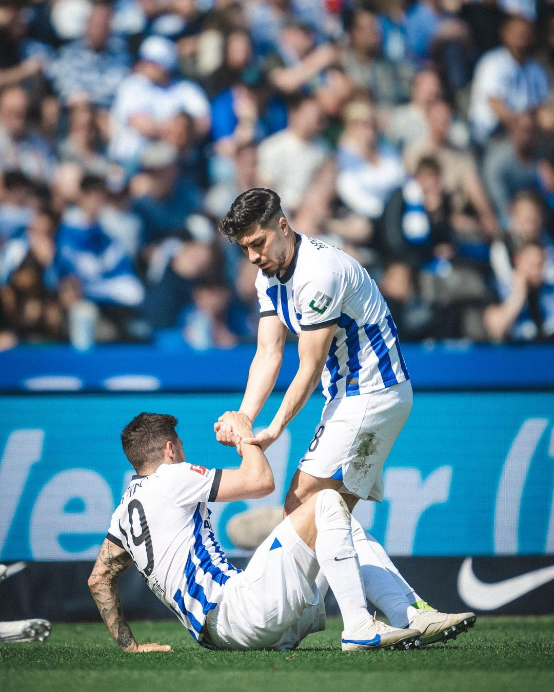 راز بقا در مستطیل سبز!